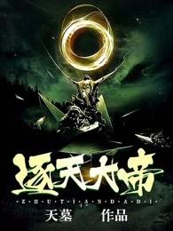 逐天大帝境界划分是第几章 逐天大帝境界划分是第几章