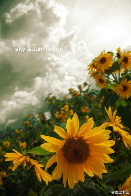 一厘米的阳光好看吗 一厘米的阳光好看吗