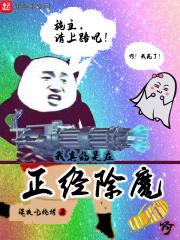 我真的是在正经除魔啊 我真的是在正经除魔啊
